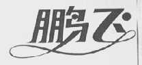 鹏飞