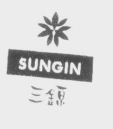 三锦   SUNGIN