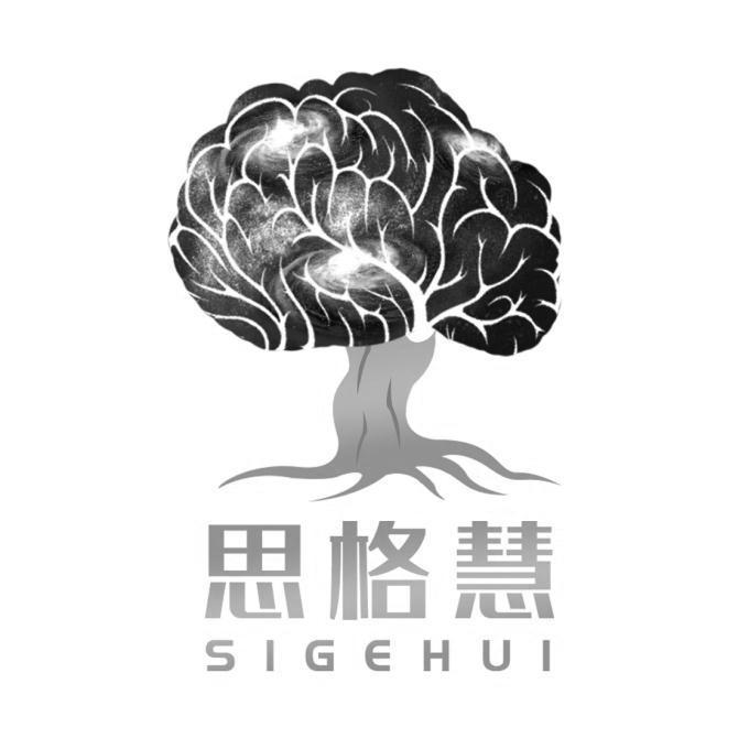 思格慧