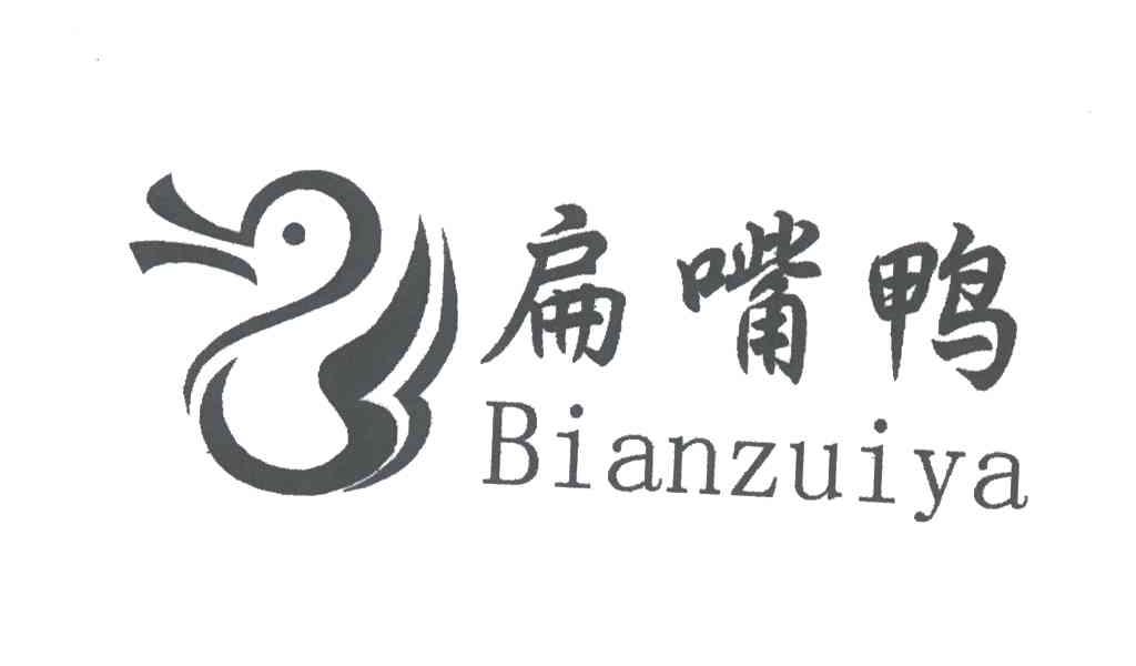 扁嘴鸭