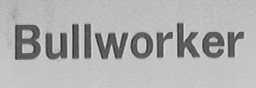 BULLWORKER