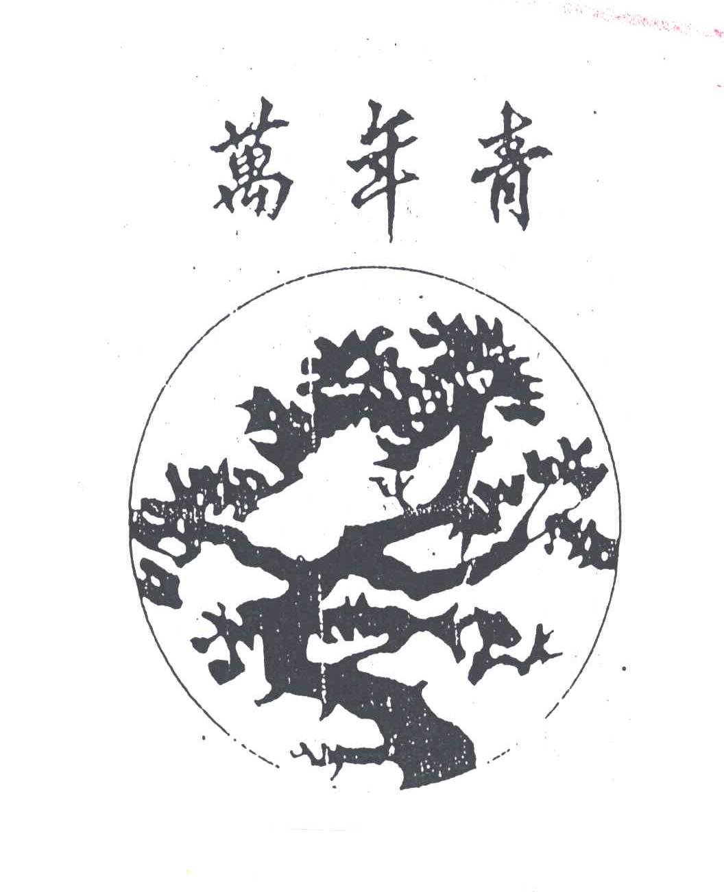 万年青