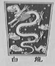白龙