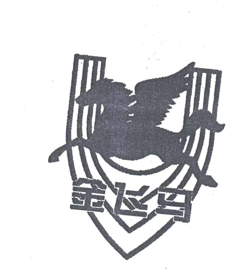 金飞马