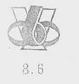 86