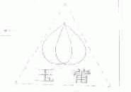 玉蕾