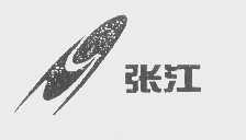 张江