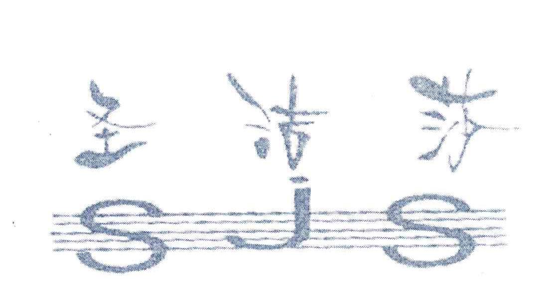 圣洁莎 SJS