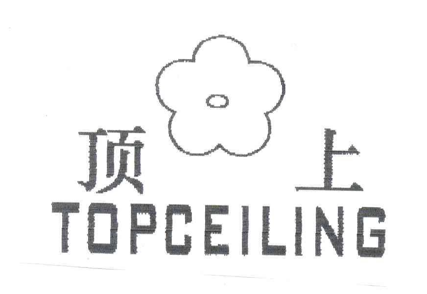 顶上;TOPCEILING