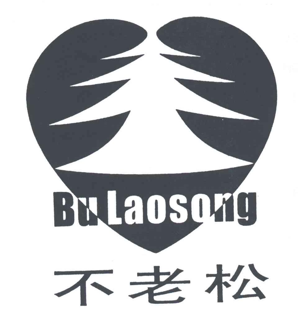 不老松