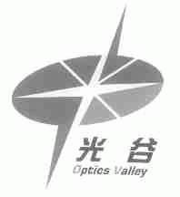 光谷;OPTICS VALLEY