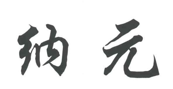 纳元