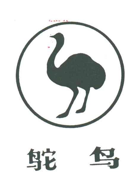 鸵鸟