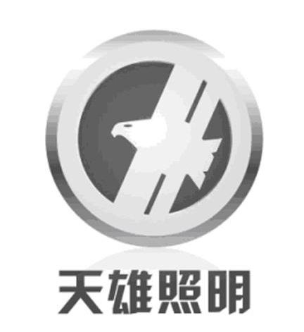 天雄照明