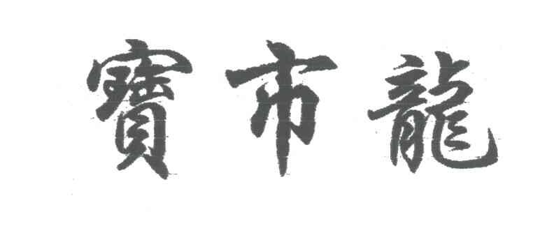 宝市龙