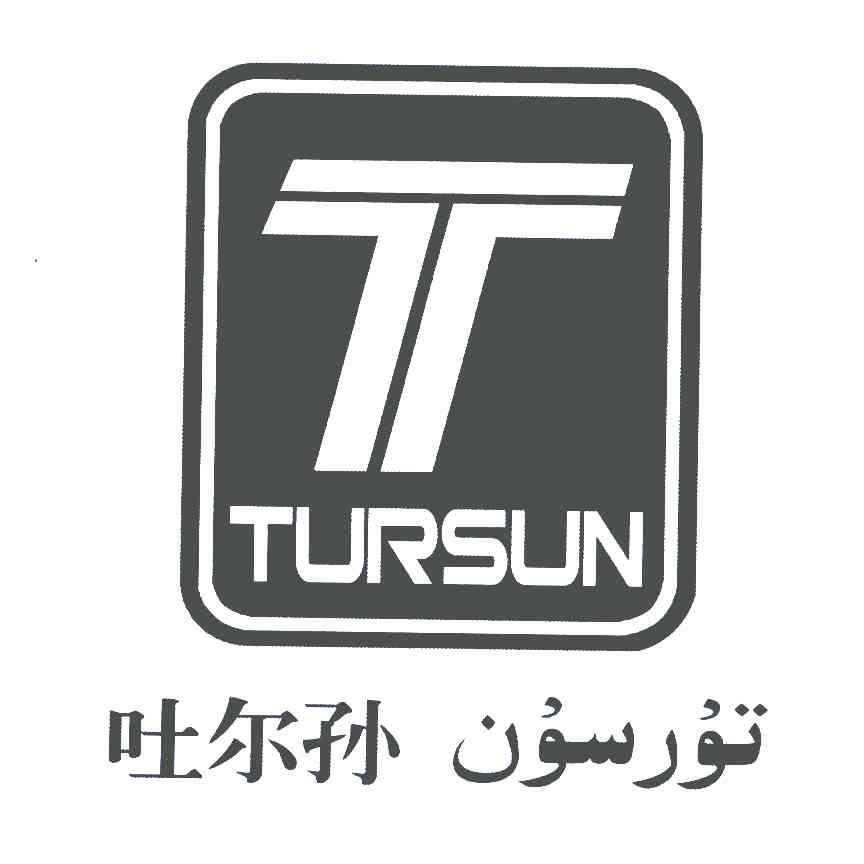 吐尔孙;TURSUN;T