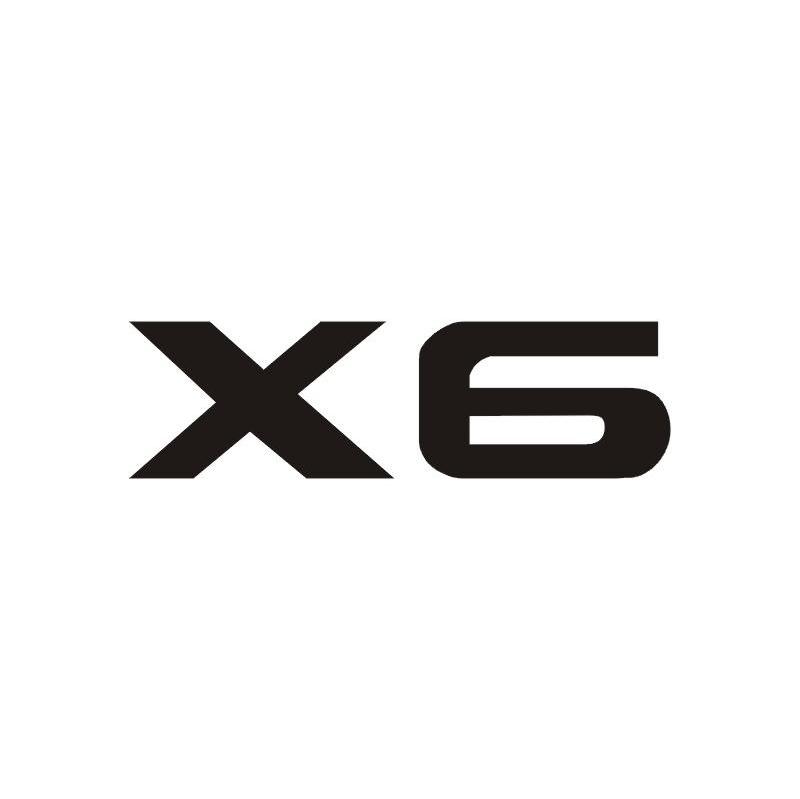 X 6