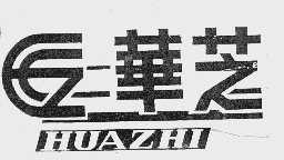 华芝