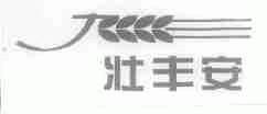 壮丰安