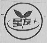 星友