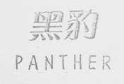 黑豹    PANTHER