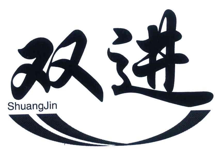 双进