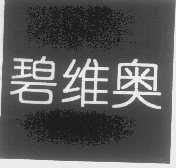 碧维奥