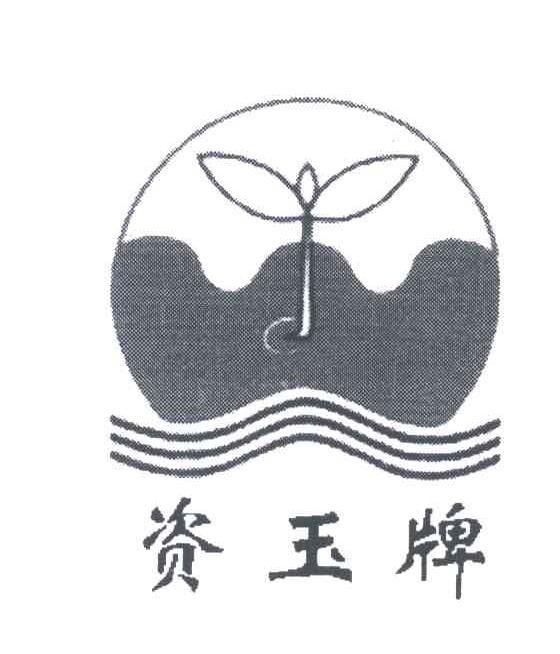 资玉牌