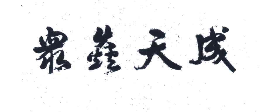 众焱天成