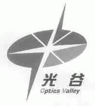 光谷;OPTICS VALLEY