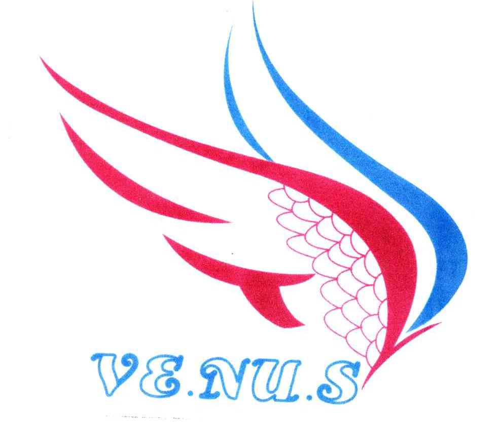 VE.NU.S及图形
