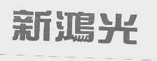 新鸿光