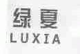 绿夏