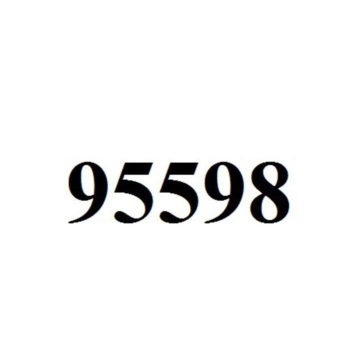 95598