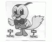 宁宁