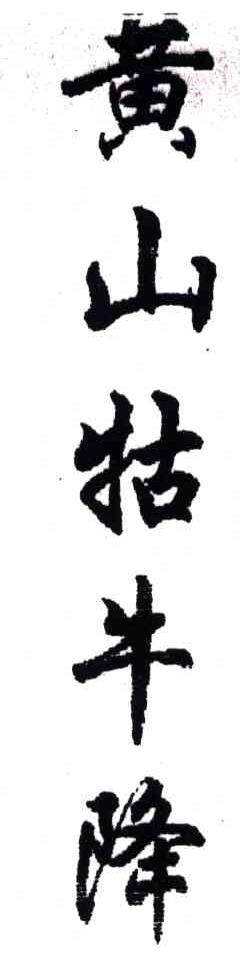 黄山牯牛降