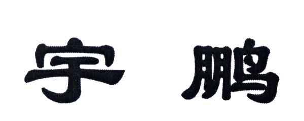 宇鹏