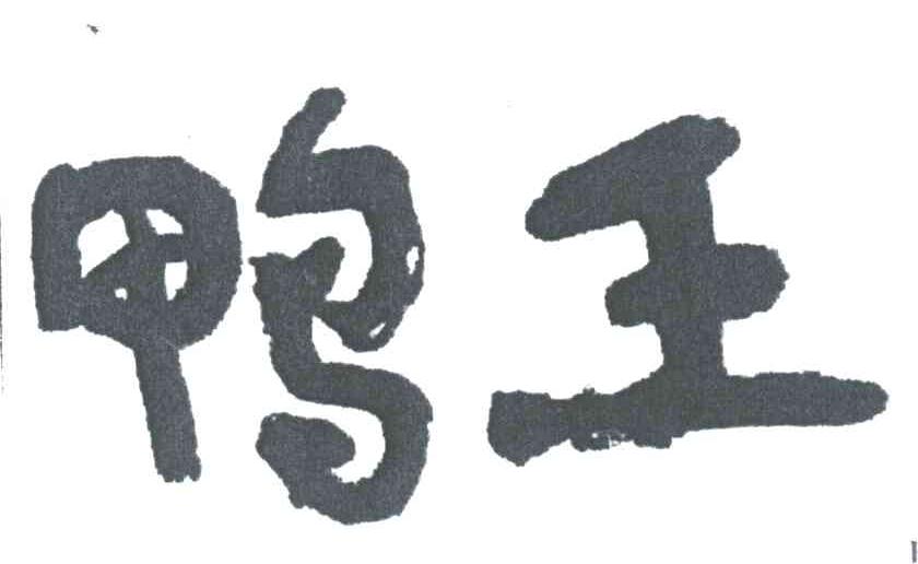 鸭王