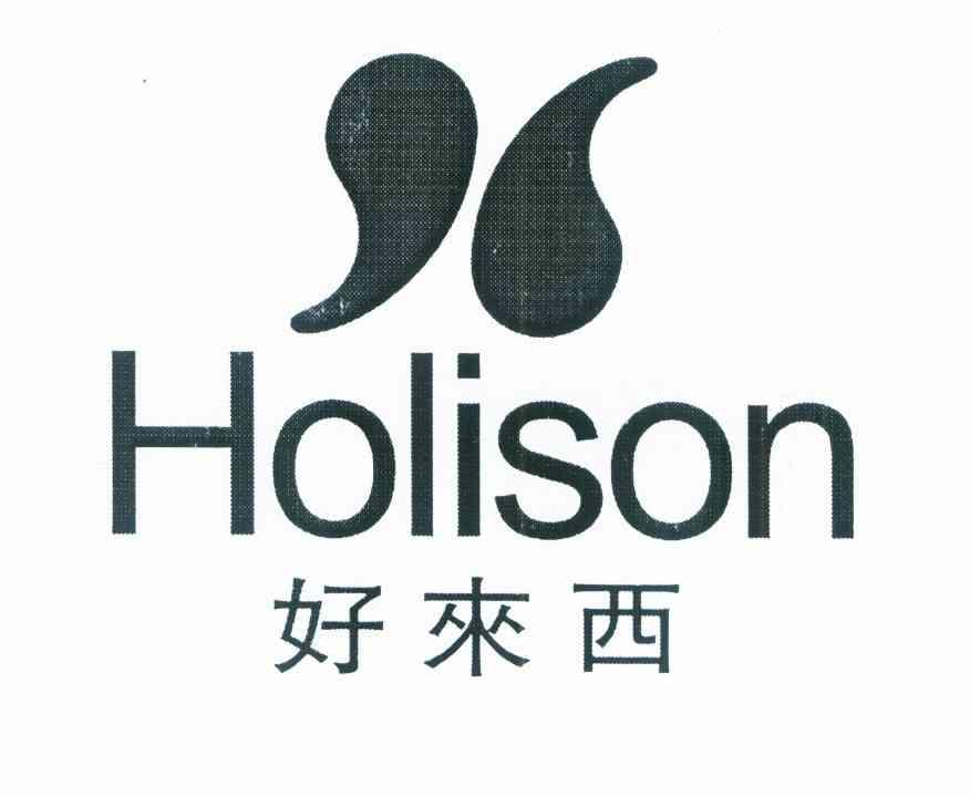 好来西 HOLISON
