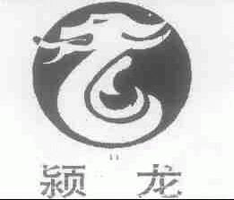 颍龙