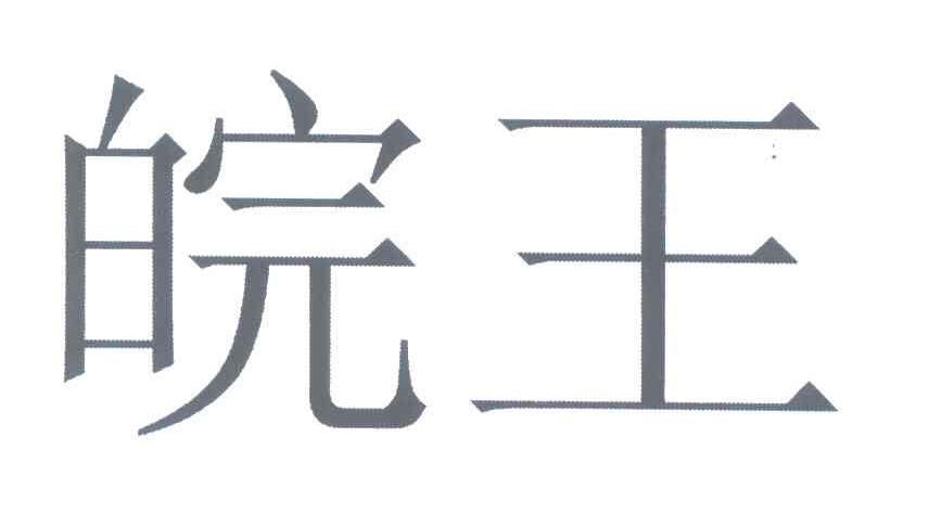 皖王