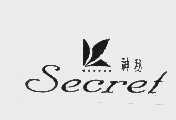神秘;SECRET