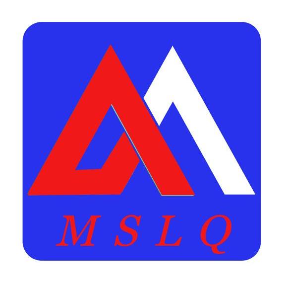 MSLQ