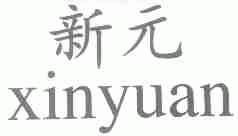 新元