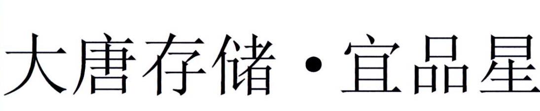 大唐存储&middot;宜品星