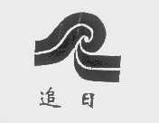 追日