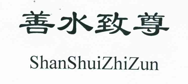 善水致尊