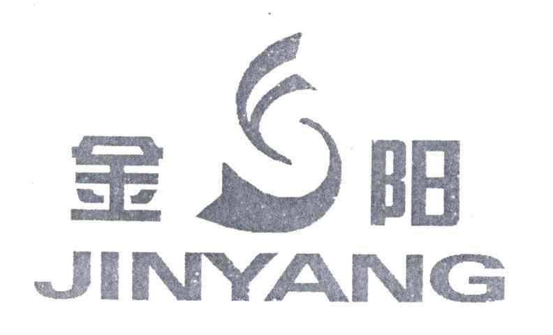 金阳;JIN YANG
