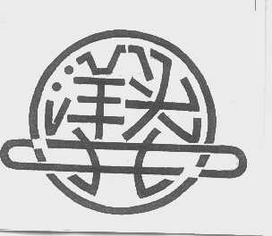 洋头井