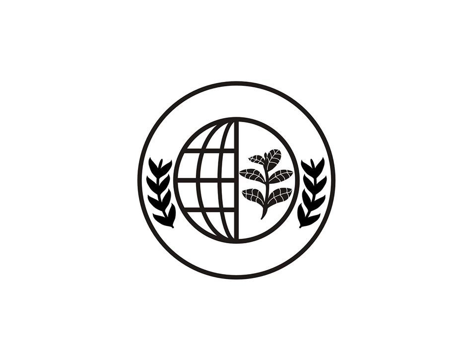图形